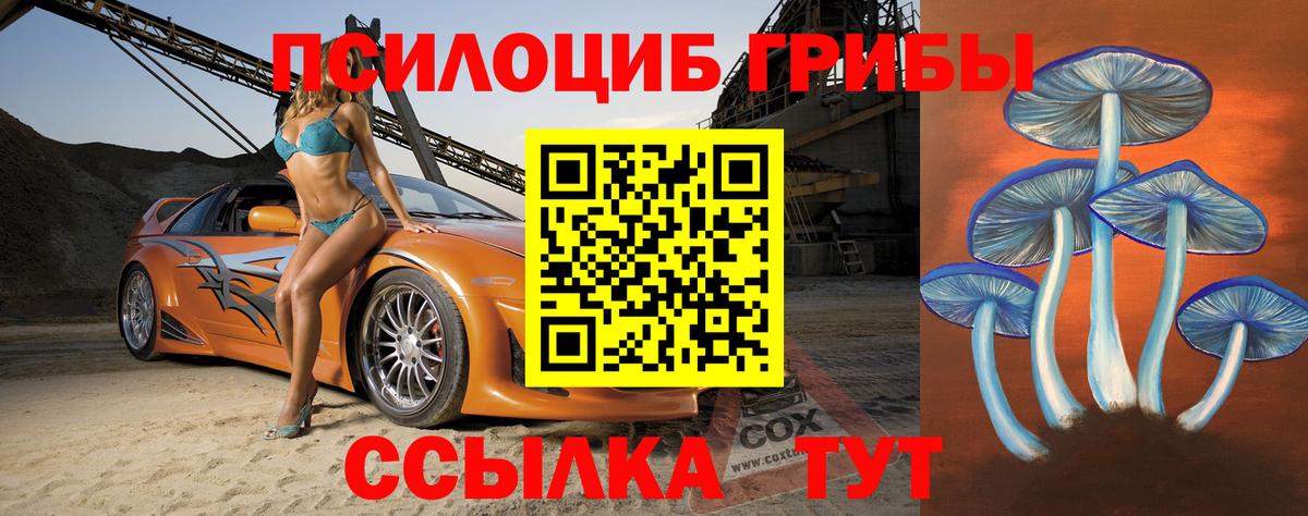 Верхняя Салда  Галлюциногенные грибы прущие грибы  Вход с VPN 