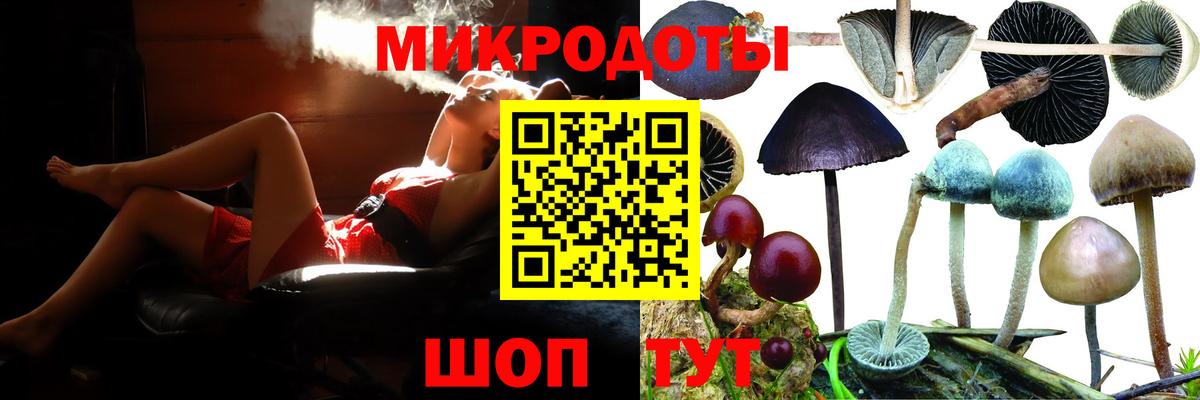Галлюциногенные грибы Psilocybe Верхняя Салда